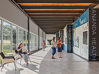 Story Wall